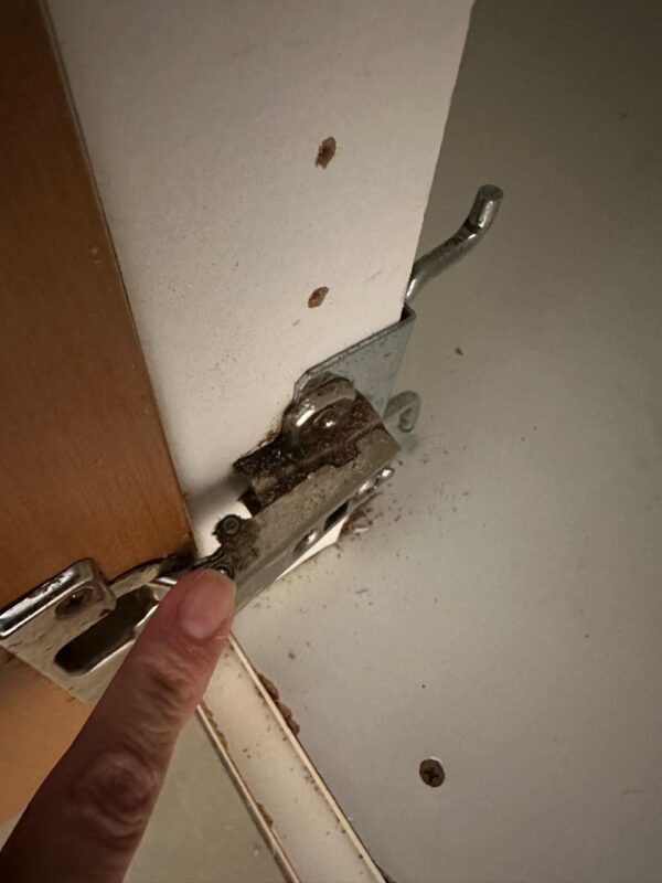 COZINHA DE BANCADA EM L — MDF — SIMPLES, DA CRIARE — PORTAS BEM BOAS — PARTES INTERNAS QUE PRECISAM SER SUBSTITUÍDAS, ASSIM COMO ALGUMAS DOBRADIÇAS - Image 8