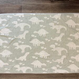 TAPETINHO INFANTIL SIMPLES — MALHA — DINOSSAURO — VERDE CLARO E BRANCO — O.006.310