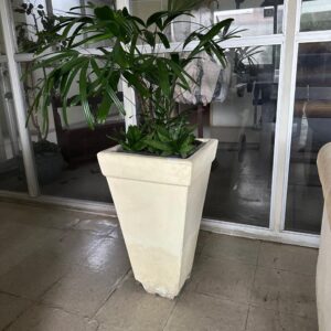 VASO ALTO - CIMENTO - PEQUENO QUEBRADINHO NA BASE - TEM VIDA AINDA — L085.09