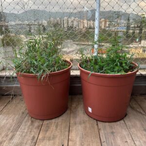 VASO POLIPROPILENO - GRANDE - COR TERRACOTA - 3 PEÇAS IGUAIS - Valor por peça — L086.52