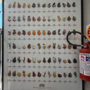 QUADRO - GRAVURA - MOLDURA SLIM PRETA - VIDRO - AROMAS DO VINHO — R095.14