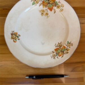 19 PRATOS INGLESES - MADE IN ENGLAND — G058.06