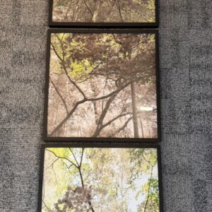 QUARTETO DE QUADROS - IMPRESSÃO FOTOS PLÁTANOS + BAMBU - MOLDURA PRETA - Venda do conjunto — E029.204