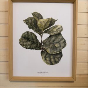 QUADROS - IMPRESSÕES - FOLHAS - DIFERENTES MODELOS - MESMO TAMANHO - Valor por peça — A127.30