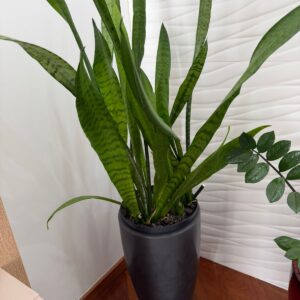 VASO FIBRA COM ESPADA SÃO JORGE— A128.07