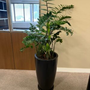 VASO DE FIBRA COM PLANTA NATURAL + SUPORTE COM RODINHAS — M152.37